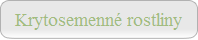 Krytosemenné rostliny