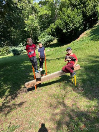 03 zari SD2 smajlici