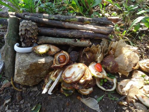 3 zari v SD1 skritci