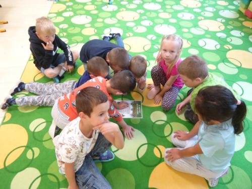 4 zari v SD1 skritci