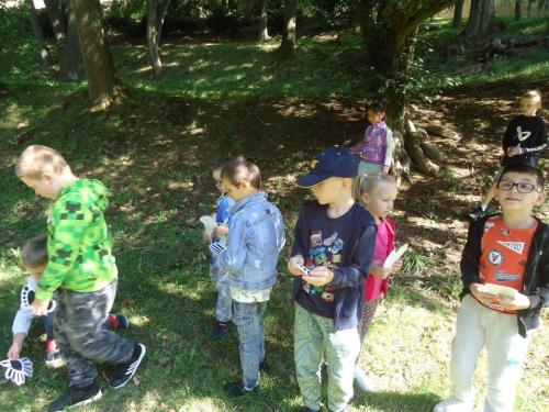 5 zari v SD1 skritci