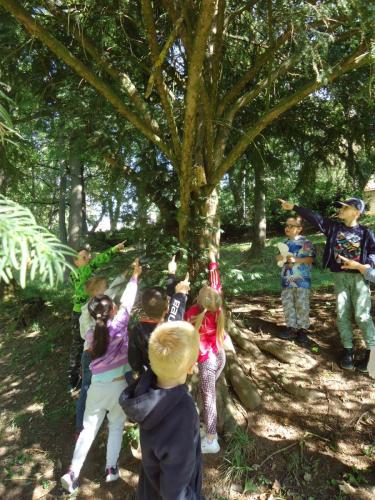 7 zari v SD1 skritci