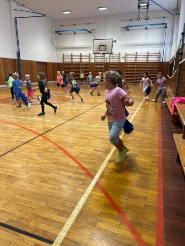 01 zari v SD1 pirati