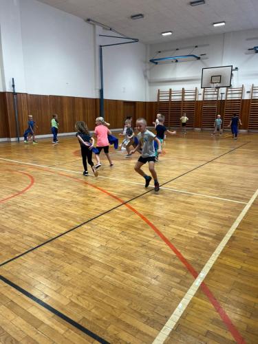 02 zari v SD1 pirati