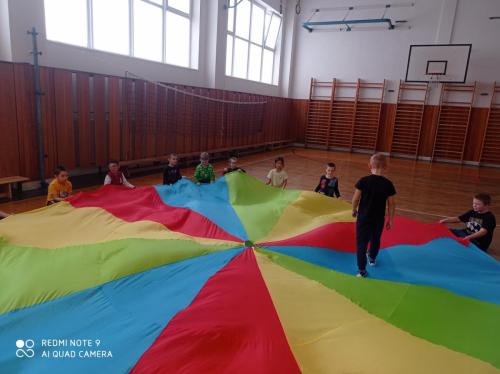 05 stezka s rokytnikem 2024