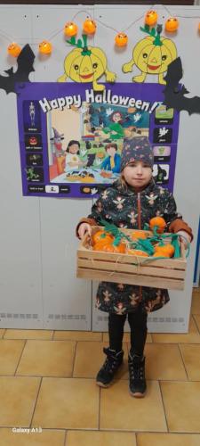 photo 20 2024-10-22 17-44-35