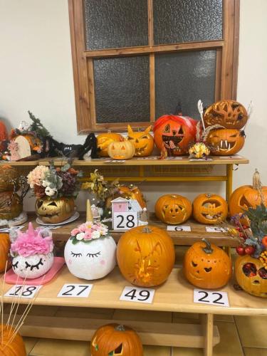 photo 25 2024-10-22 17-44-35