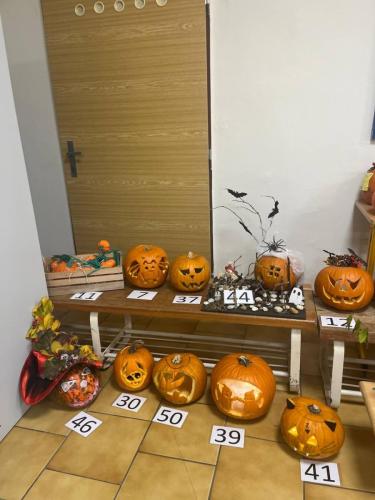 photo 31 2024-10-22 17-44-35