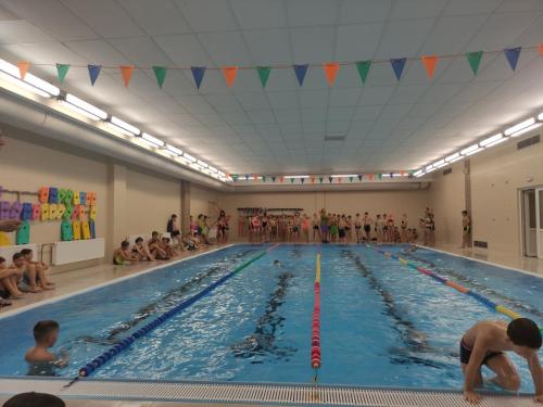 11 okresni zavody plavani