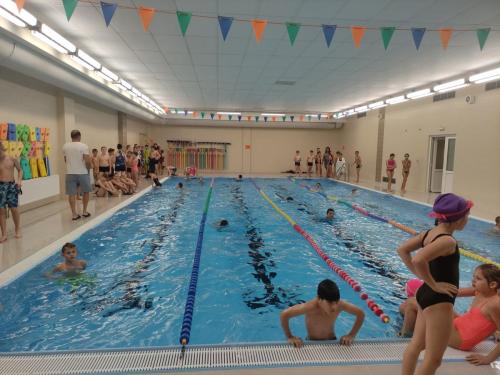 12 okresni zavody plavani