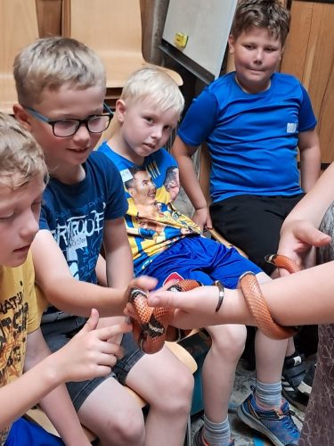 d060 - Výlet ZOO 2.A