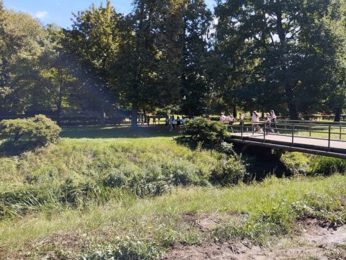 149 prespolni beh 2025