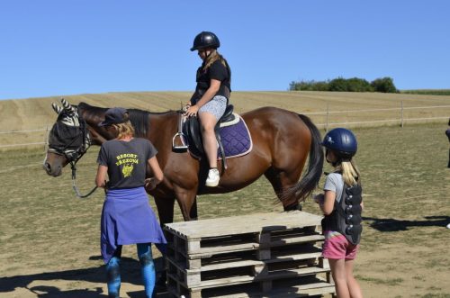 05 3A 3B adaptacni pobyt