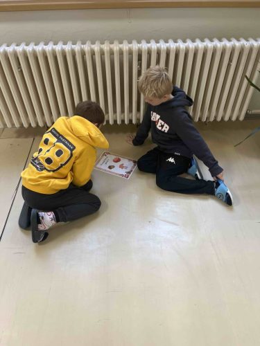 07 den zvirat smajlici