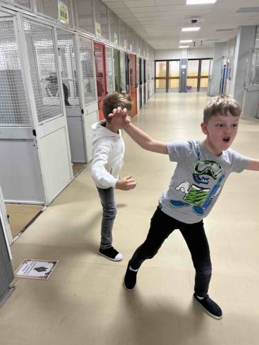 09 den zvirat smajlici