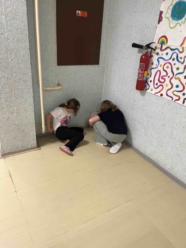 12 den zvirat smajlici