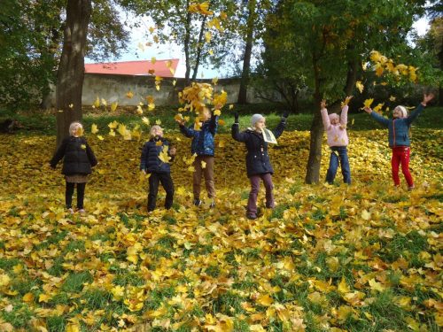 7 den stromu sd skritci