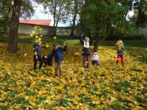 8 den stromu sd skritci