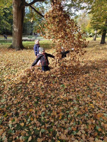 01 rijen SD slunicka