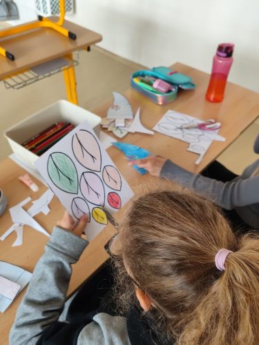 09 rijen SD slunicka