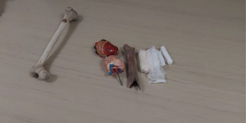 12 hallowenska stezka 2025