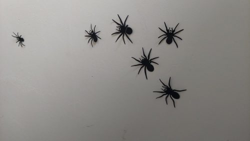 17 hallowenska stezka 2025