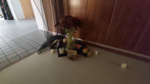 23 hallowenska stezka 2025