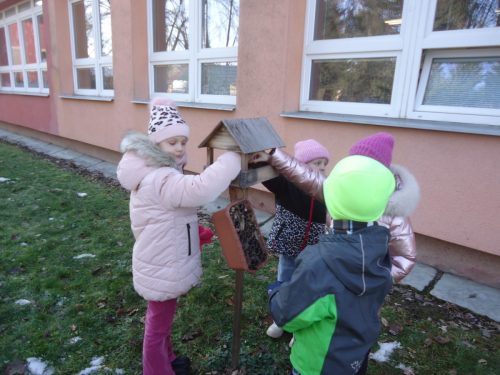 05 leden unor skritci SD