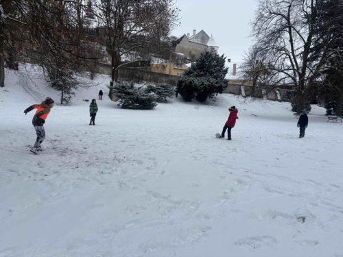 04 leden unor kyticky SD