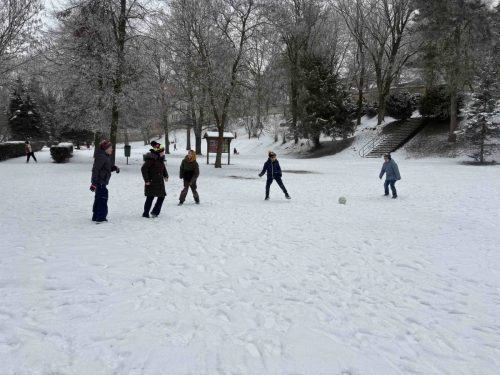 05 leden unor kyticky SD