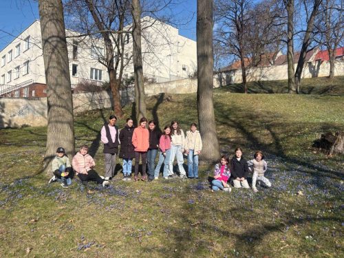 08 brezen v SD kyticky