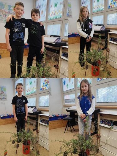 17 brezen slunicka SD