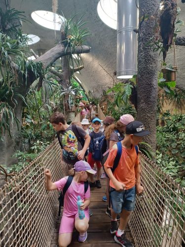 10 vylet 2ABC zoo