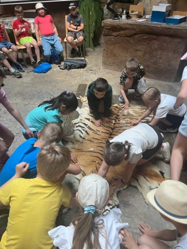 15 vylet 2ABC zoo