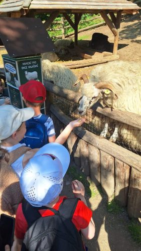 35 vylet 2ABC zoo