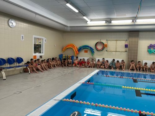 12 plavani 2026