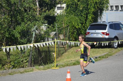 222 triatlon 2026