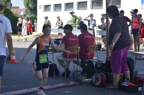 231 triatlon 2026