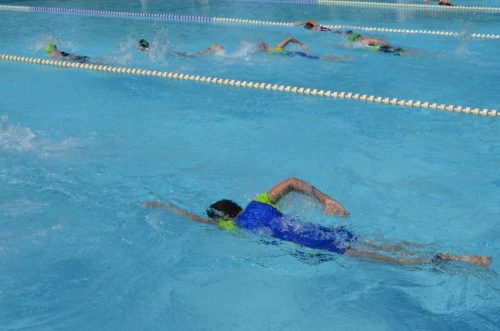 241 triatlon 2026